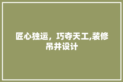 匠心独运,巧夺天工,装修吊井设计
