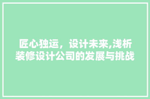 匠心独运,设计未来,浅析装修设计公司的发展与挑战