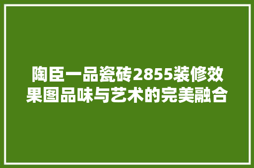 陶臣一品瓷砖2855装修效果图品味与艺术的完美融合