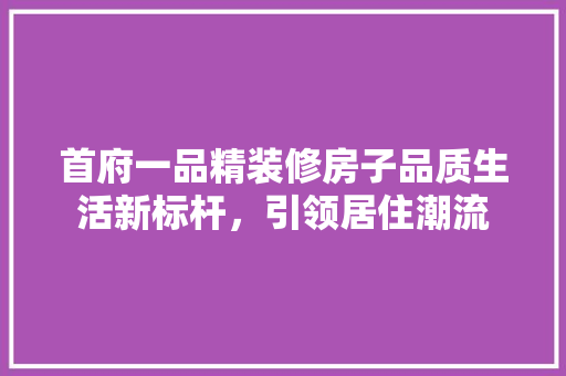 首府一品精装修房子品质生活新标杆，引领居住潮流