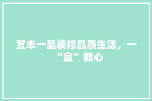 宜丰一品装修品质生活，一“室”倾心