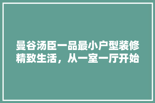 曼谷汤臣一品最小户型装修精致生活，从一室一厅开始