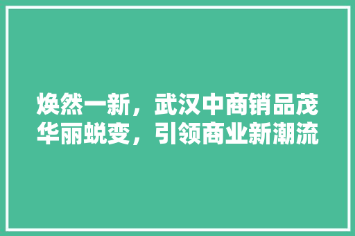 焕然一新，武汉中商销品茂华丽蜕变，引领商业新潮流