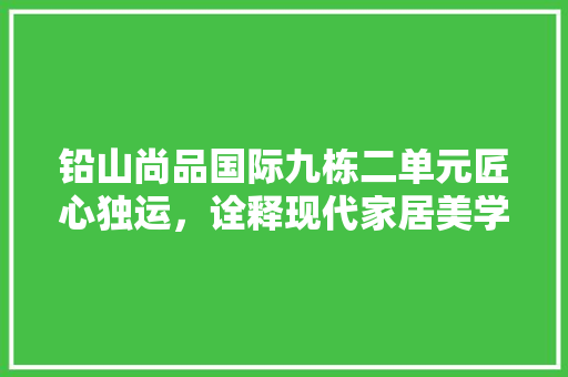 铅山尚品国际九栋二单元匠心独运，诠释现代家居美学