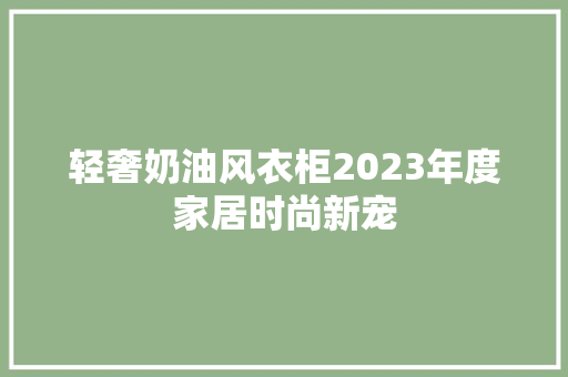 轻奢奶油风衣柜2023年度家居时尚新宠