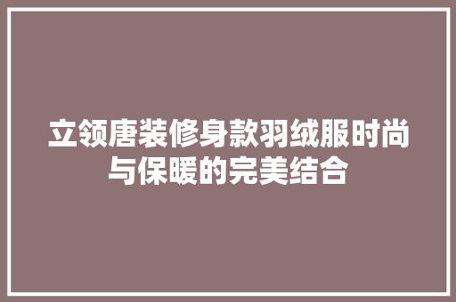 立领唐装修身款羽绒服时尚与保暖的完美结合