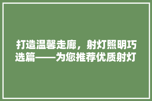 打造温馨走廊，射灯照明巧选篇——为您推荐优质射灯