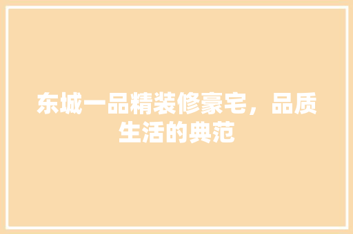 东城一品精装修豪宅，品质生活的典范