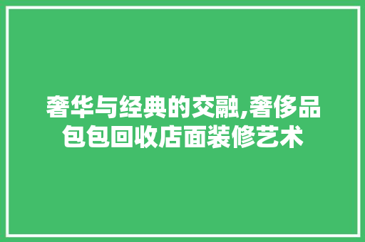 奢华与经典的交融,奢侈品包包回收店面装修艺术