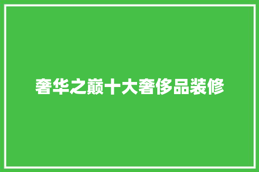 奢华之巅十大奢侈品装修