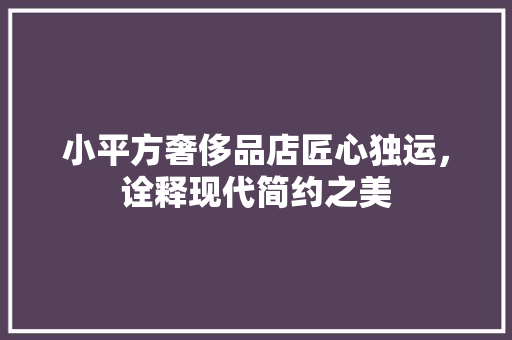 小平方奢侈品店匠心独运，诠释现代简约之美