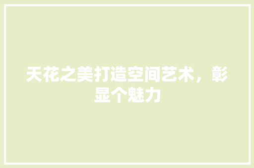 天花之美打造空间艺术，彰显个魅力