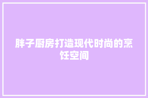 胖子厨房打造现代时尚的烹饪空间