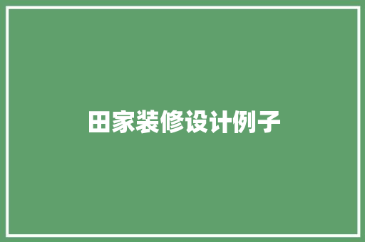 田家装修设计例子