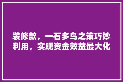 装修款,一石多鸟之策巧妙利用,实现资金效益最大化 第1张 装修款,一石多鸟之策巧妙利用,实现资金效益最大化 第1张