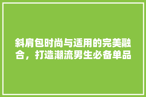 斜肩包时尚与适用的完美融合,打造潮流男生必备单品 第1张 斜肩包时尚与适用的完美融合,打造潮流男生必备单品 第1张
