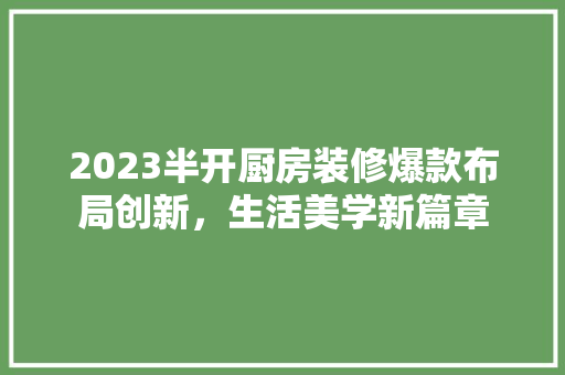 2023半开厨房装修爆款布局创新,生活美学新篇章 第1张 2023半开厨房装修爆款布局创新,生活美学新篇章 第1张