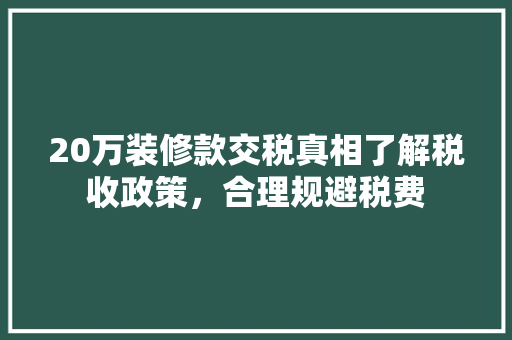 20万装修款交税真相了解税收政策，合理规避税费