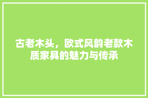 古老木头，欧式风韵老款木质家具的魅力与传承  第1张