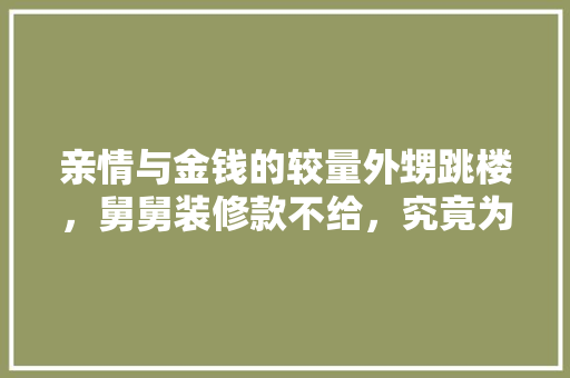 亲情与金钱的较量外甥跳楼，舅舅装修款不给，究竟为何