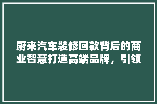 蔚来汽车装修回款背后的商业智慧打造高端品牌，引领绿色出行新时代  第1张