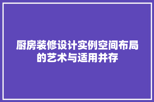厨房装修设计实例空间布局的艺术与适用并存  第1张
