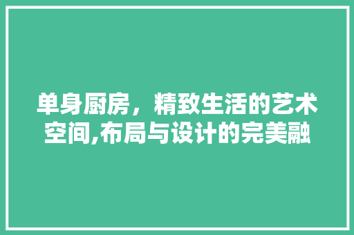单身厨房，精致生活的艺术空间,布局与设计的完美融合  第1张